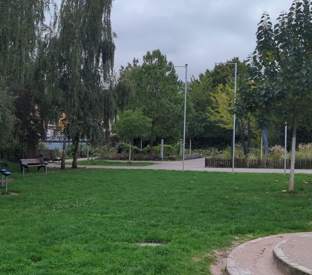 Eine große grüne Wiese mit Bäumen am Rand.