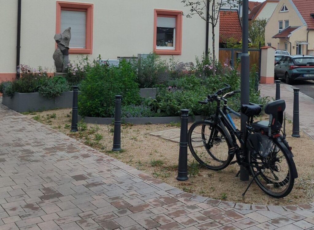 Kleine grüne Pflanzen in Gefäßen zwischen zwei Straßen. Der Boden drum herum ist geschottert.